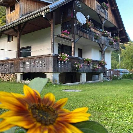 Apartment V&N, Lake Bohinj Ngoại thất bức ảnh